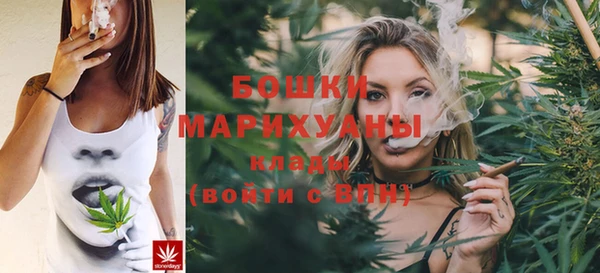 хмурый Бородино